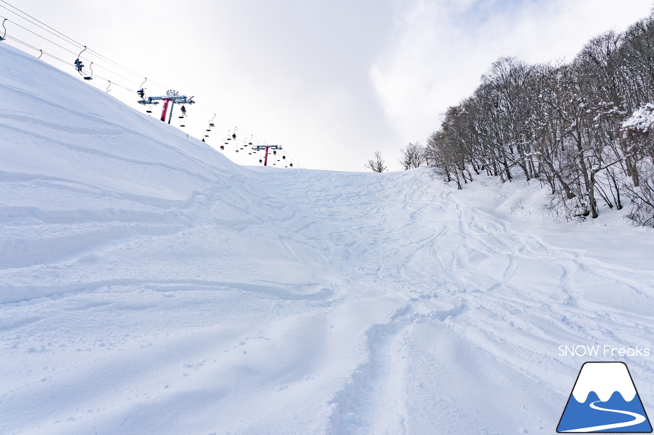 朝里川温泉スキー場｜祝・粉雪復活！競争率ゼロのゲレンデでパウダー三昧♪